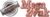 MegaZvuk