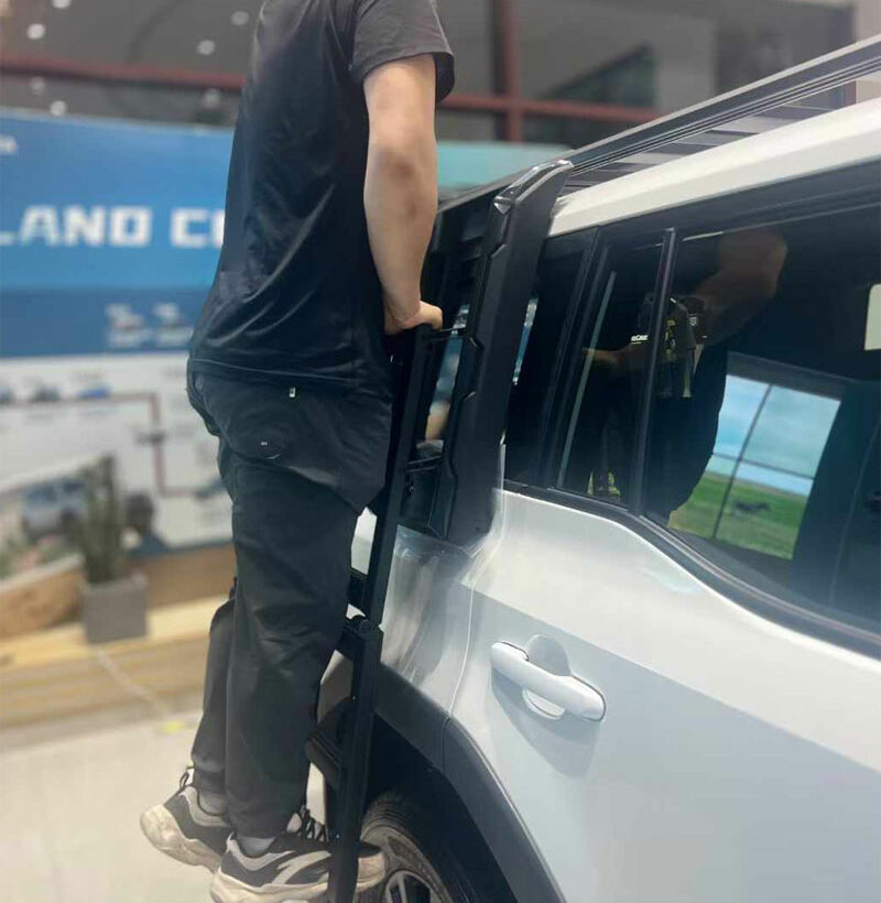 Land Cruiser 200 Лестница - Экстерьер - TOYOTA - Toyota Land Cruiser